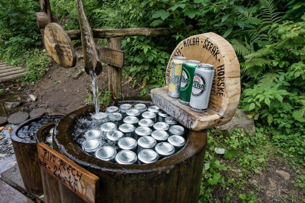 Chata Pod Rejvizem Jeseník Kültér fotó